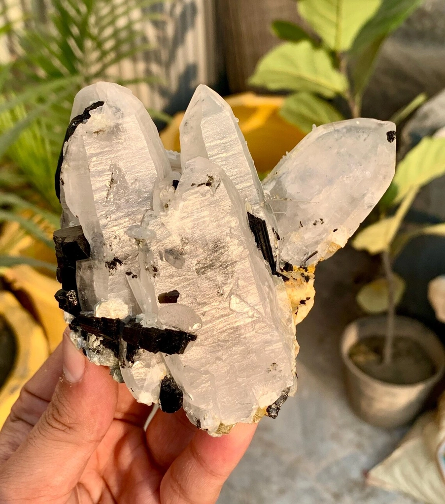 Quartz from Pakistan image