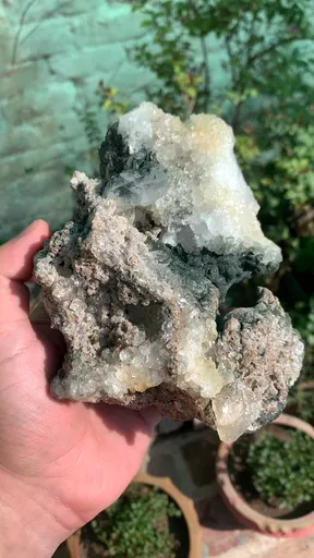 specimen video