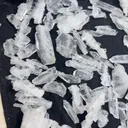specimen video
