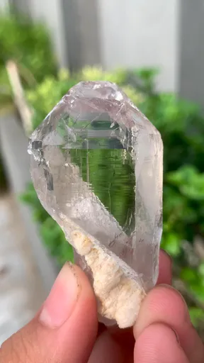 specimen video