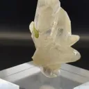 specimen video