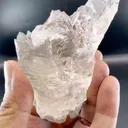 specimen video
