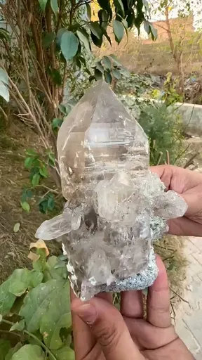 specimen video