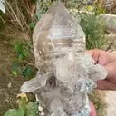 specimen video