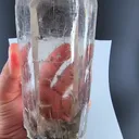 specimen video