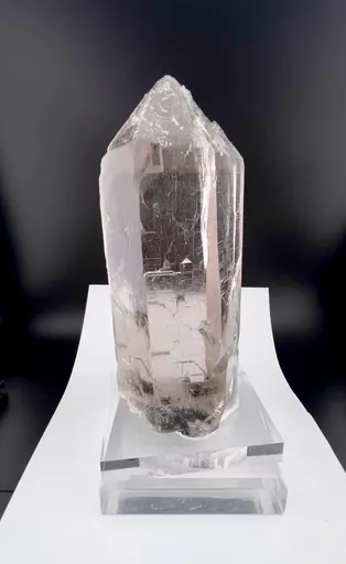 specimen video