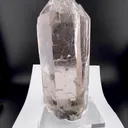 specimen video