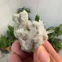 specimen video
