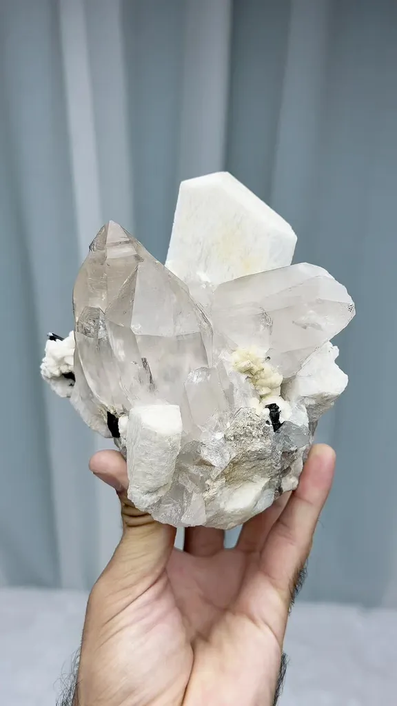 specimen video