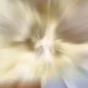 specimen video