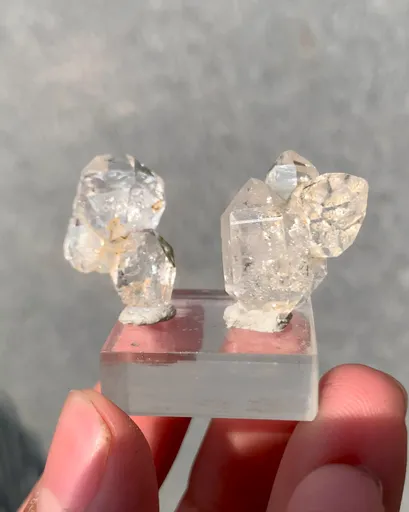 specimen video