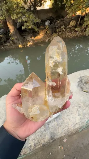 specimen video