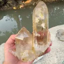 specimen video
