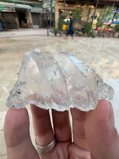 specimen video
