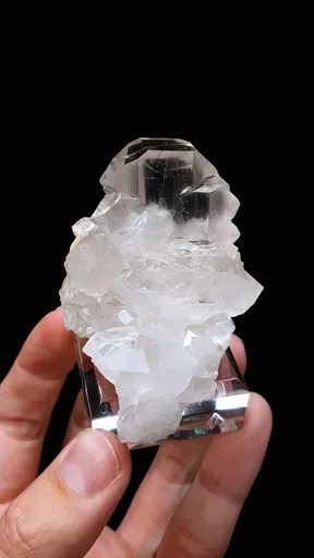 specimen video