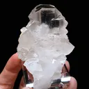 specimen video
