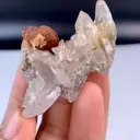 specimen video