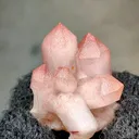 specimen video