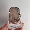specimen video