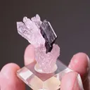 Quartz from Sapucaia do Norte, Galiléia, Minas Gerais, Brazil - image 1