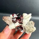 specimen video