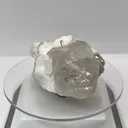specimen video