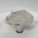 specimen video
