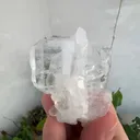 specimen video