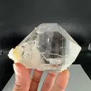 specimen video