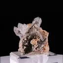 specimen video
