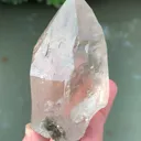 specimen video