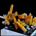 specimen video