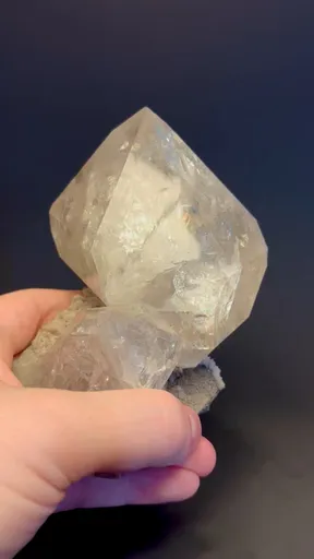 specimen video