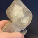 specimen video