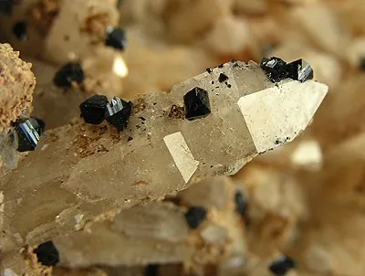 Quartz, Ilvaite - image 2