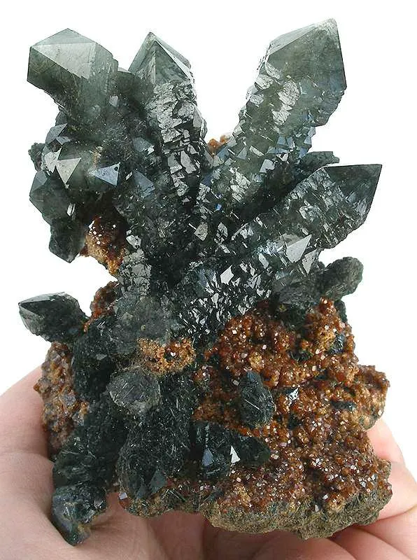 Quartz Included By Hedenbergite image
