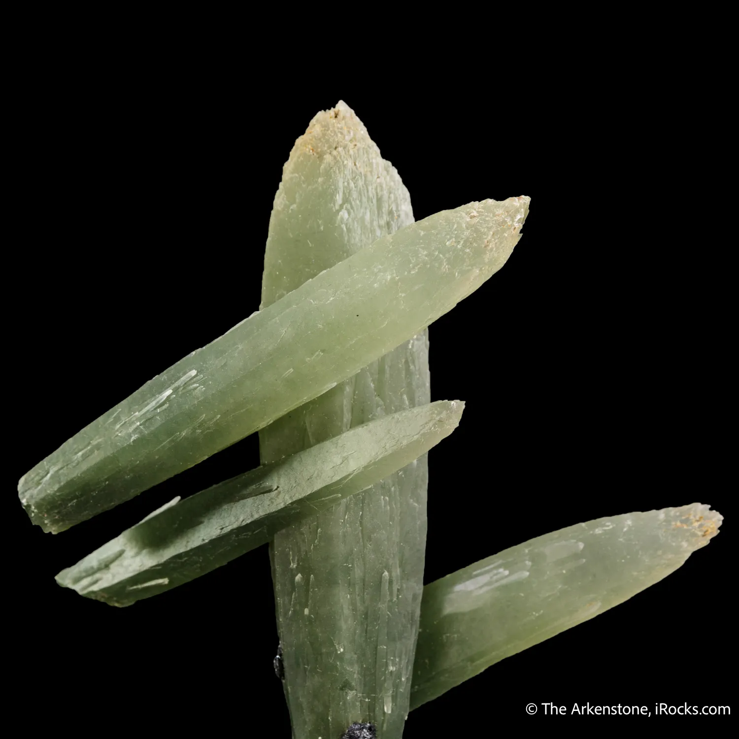 Quartz included by Hedenbergite (Prasem) - image 5