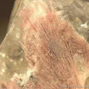 Quartz Included By Montmorillonite Ps. After (?) - image 1