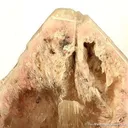 Quartz Included By Montmorillonite (Set) - image 8