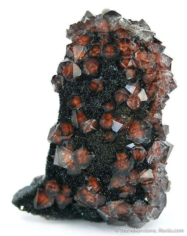 Quartz Included With Hematite on Specular Hematite image