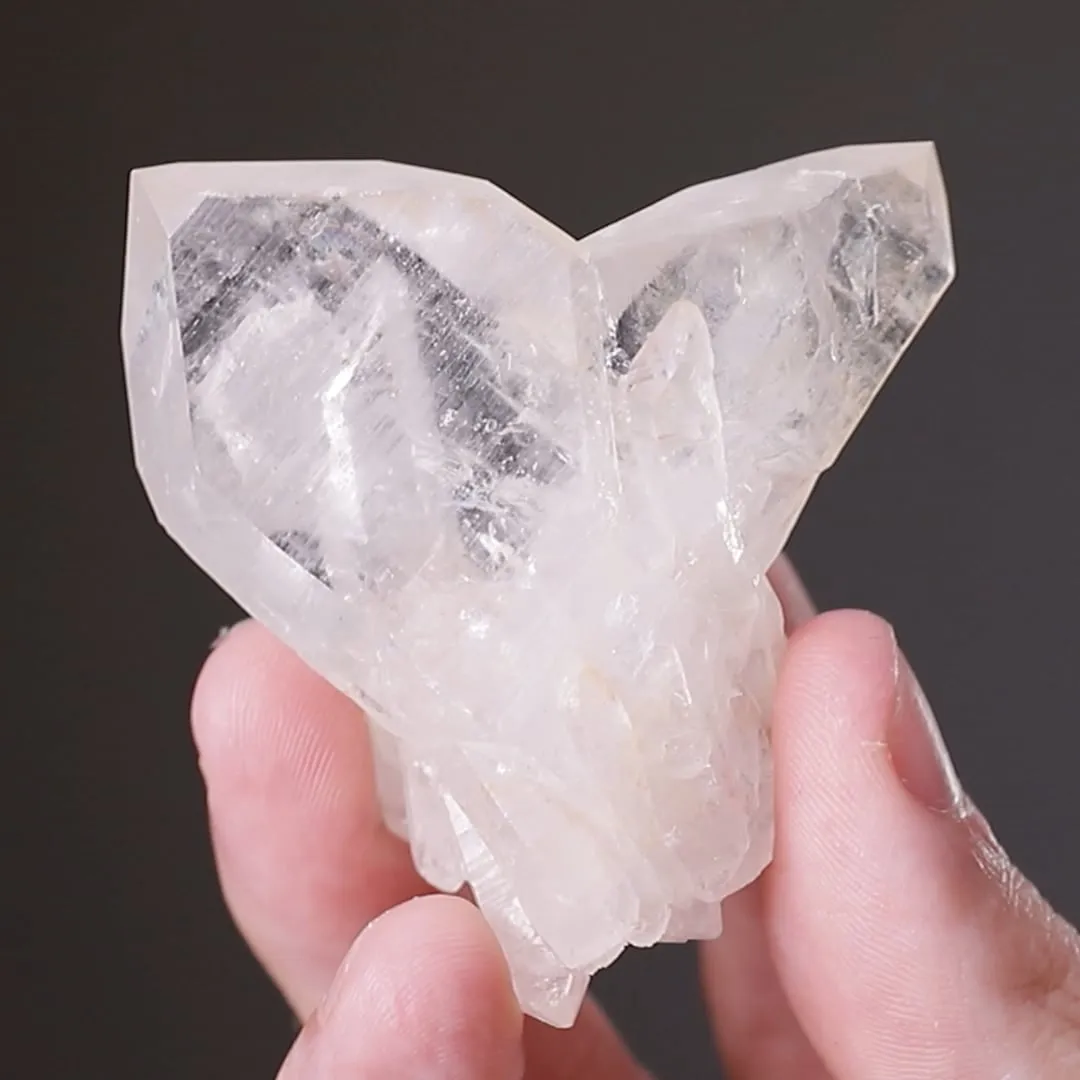 Quartz JAPAN-LAW TWIN - image 2