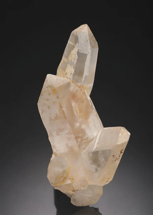 Quartz Japan Law Twin image