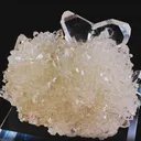 specimen video