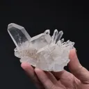 QUARTZ Japan Law Twin - image 2