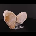 Quartz (Japan-Law Twin) - image 2