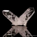 Quartz (Japan Law twin) - image 3