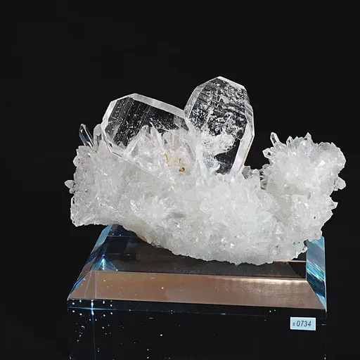 specimen video