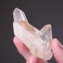 Quartz Japan Law Twin - image 2