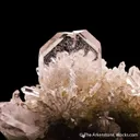 Quartz (Japan Law Twin) - image 6