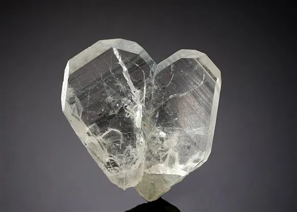 Quartz Japan Law Twin image